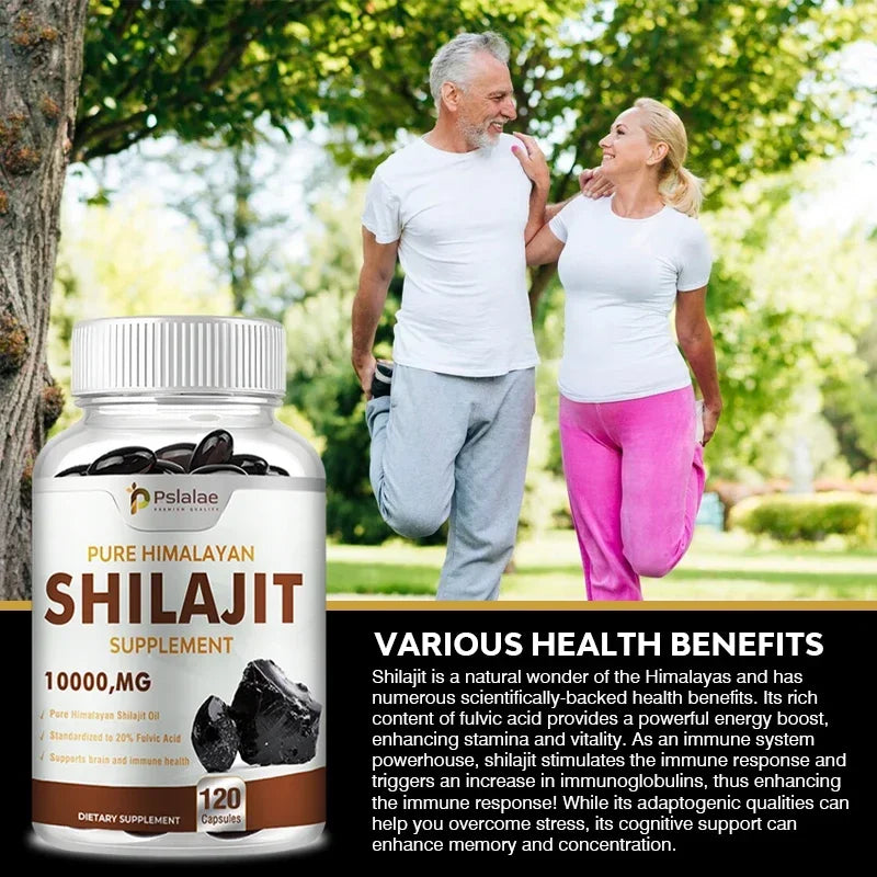 Shilajit Supplement